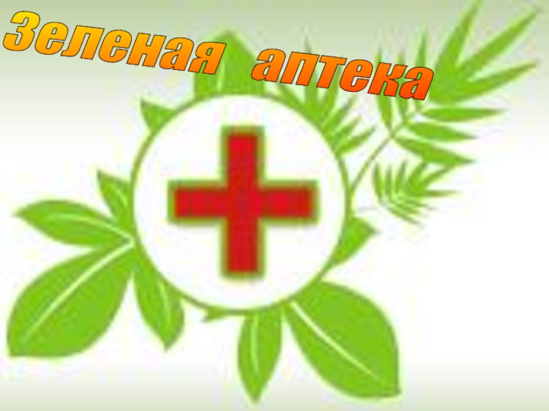 Зеленая Аптека Симферополь