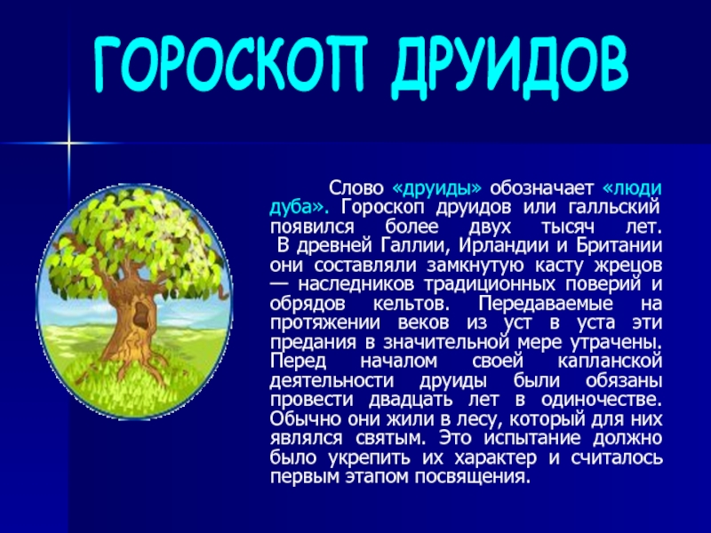Гороскоп Друидов По Деревьям И Дате