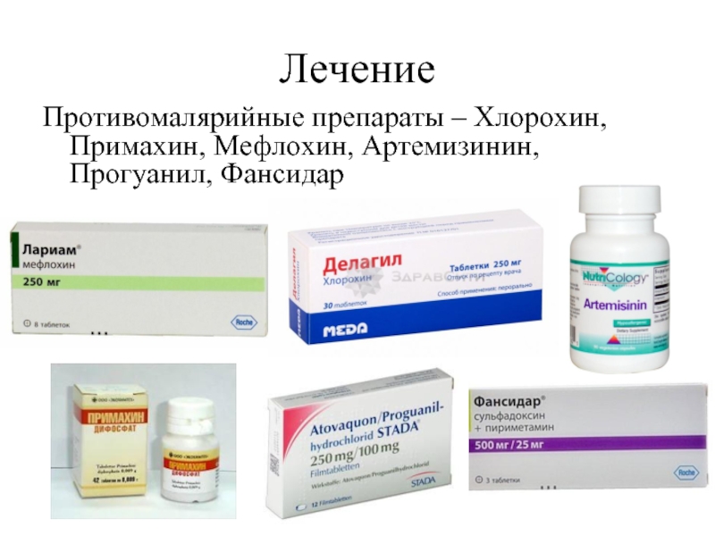 Наличие Лекарств В Аптеках Каменска Шахтинского