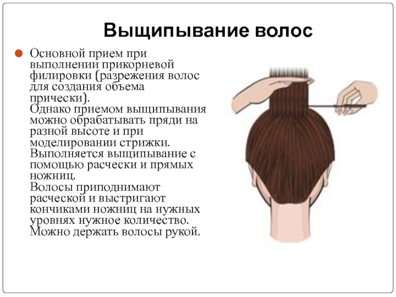 Задачи Моделирования Причесок