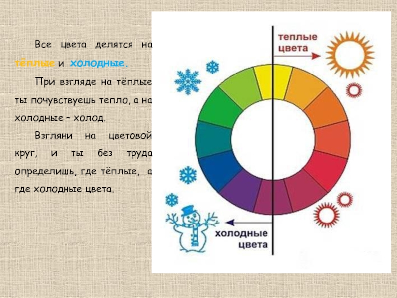 Цветовой Круг Теплые И Холодные Цвета