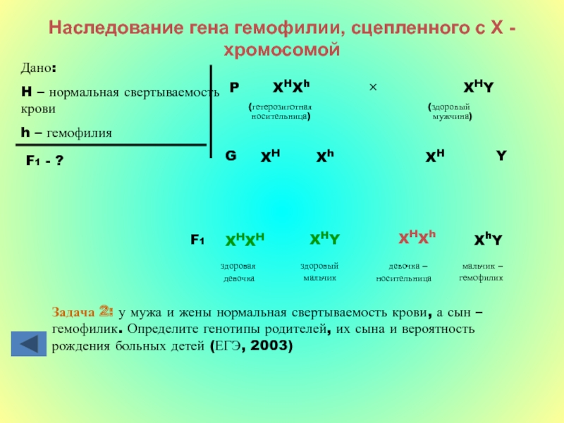 Две шлюхи ласкались между собой и ждали появления парня с членом 