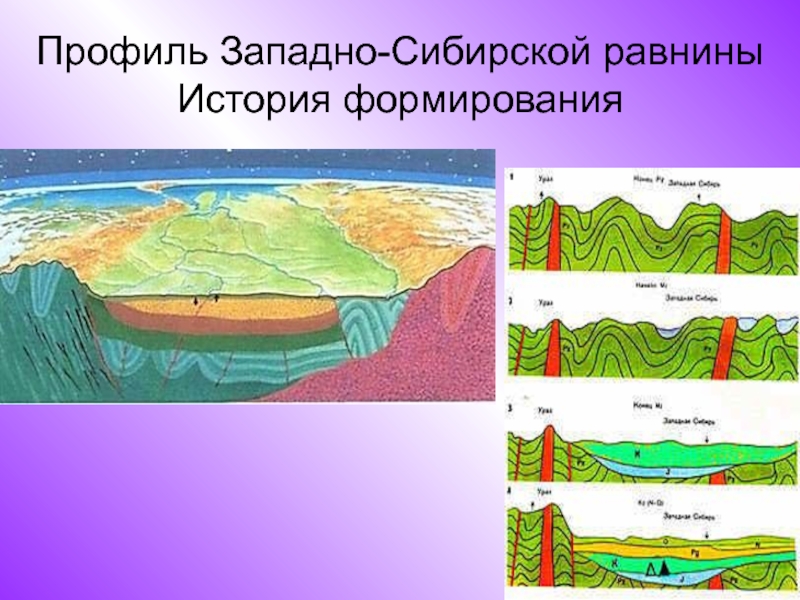 Профиль Западно-Сибирской равнины История формирования