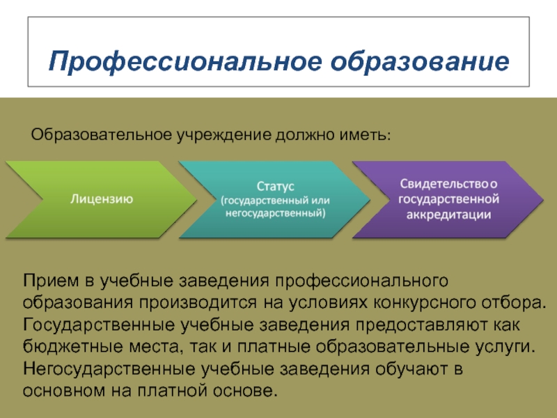 Бюджетные учреждения доклад. Учреждения профессионального образования. Негосударственные образовательные учреждения доклад. Что производится в образовании.