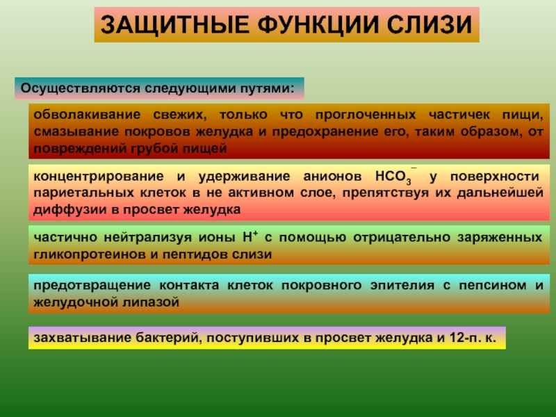 Функции слизистой. Функции слизи. Защитная роль слизи. Слизи биология функция.