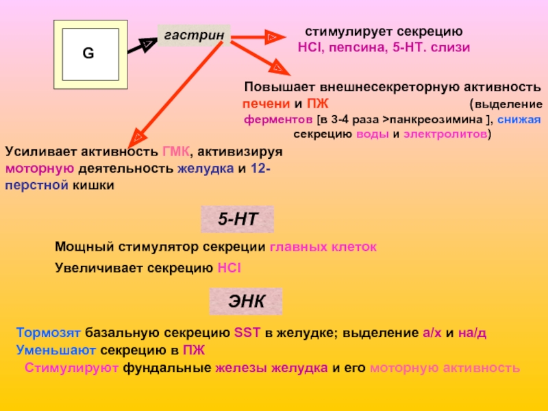 Гастрин 17 базальный. Гастрин стимулирует секрецию. Гастрин не стимулирует:. Выделение гастрина стимулируется. Гастрин стимулирует секрецию тест.