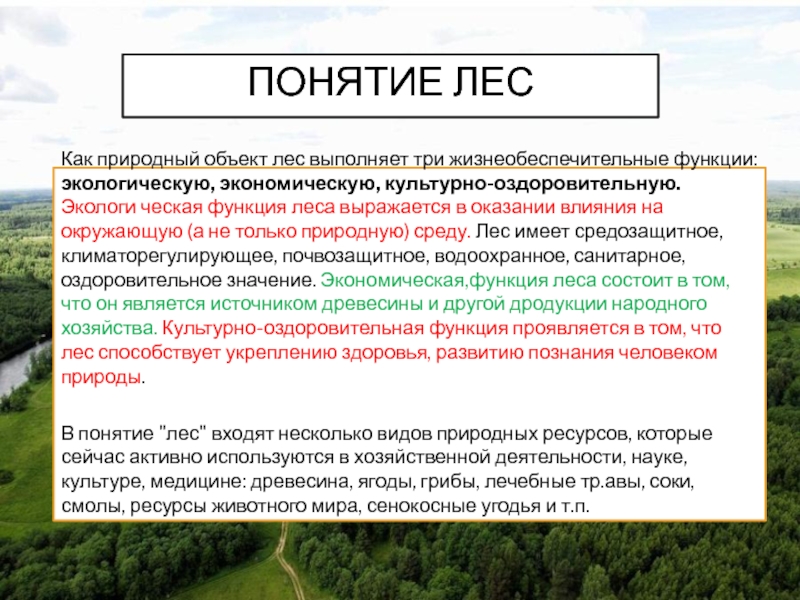 Понятие и состав земель лесного фонда презентация