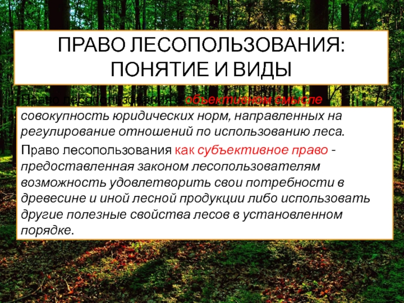 Проект освоения лесов составляют лица которым лесные участки предоставлены в