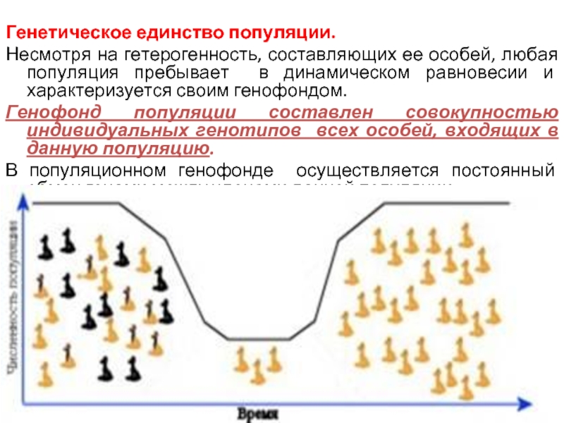 Что такое генетическая структура популяции