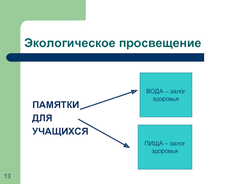 Экологическое просвещение презентация