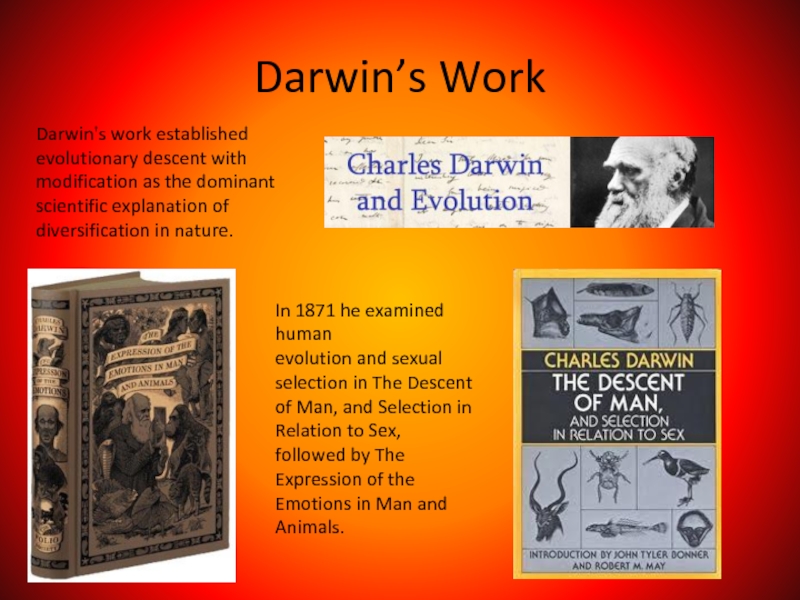 Реферат: Evolution Essay Research Paper 1 Describe modern