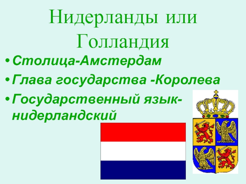 Голландия язык. Нидерланды язык государственный. Нидерланды язык официальный. Глава государства в Амстердаме. Какой язык в Нидерландах.