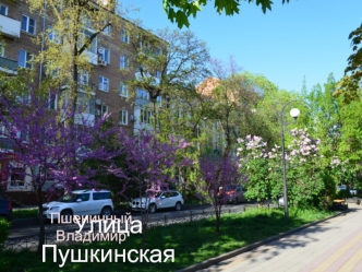 Улица Пушкинская