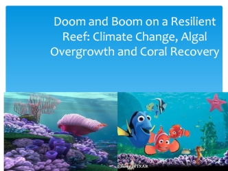 Doom and Boom on a Resilient Reef: Climate Change, Algal Overgrowth and Coral Recovery