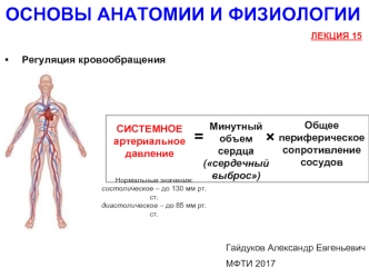 Регуляция кровообращения