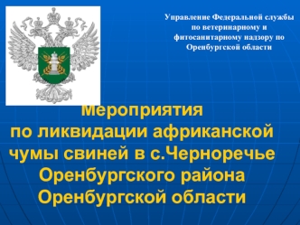 Мероприятия по ликвидации африканской чумы свиней в с.Черноречье Оренбургского района Оренбургской области