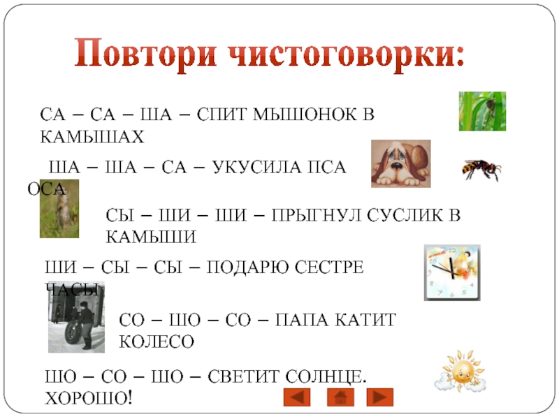 Чистоговорки звук ш с картинками