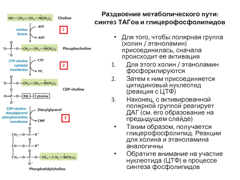 Синтез таг