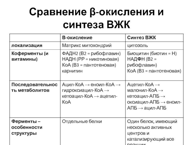 Сравни б. Сравнение процессов β-окисления и синтеза жирных кислот (ЖК). Сравнительная характеристика бета окисления и синтеза жирных кислот. Сравнение бета окисления и синтеза ВЖК. Сравнение бета окисления и синтеза жирных кислот таблица.