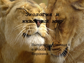 Экология и животный мир