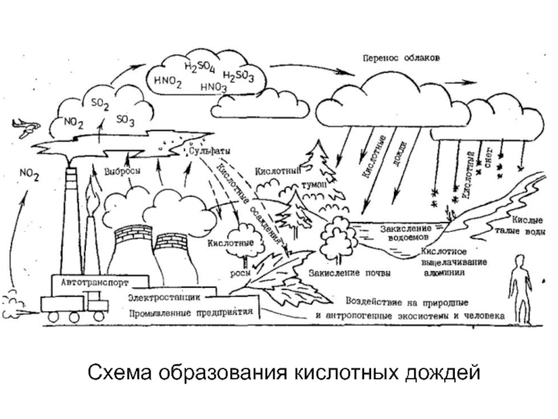 Кислотные дожди схема