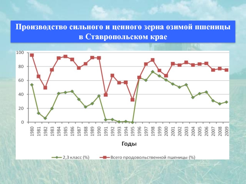 Прогноз ставрополье