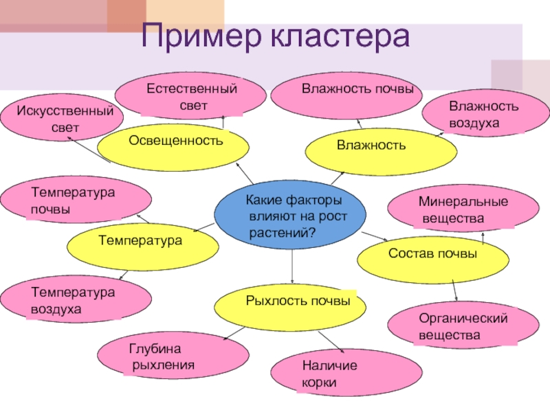 Образец кластера по литературе