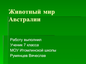 Животный мир Австралии