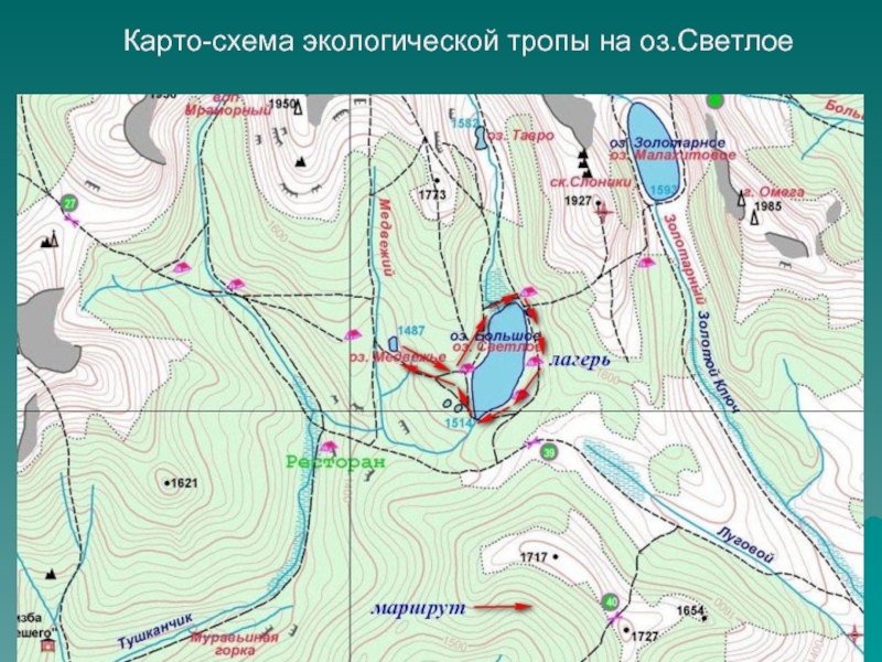 Экотропа зеленогорск карта