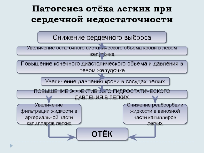 Сердечные отеки жидкость. Патогенез отеков. Отек легких патогенез. Схема патогенеза сердечной недостаточности. Механизм развития отека легких.