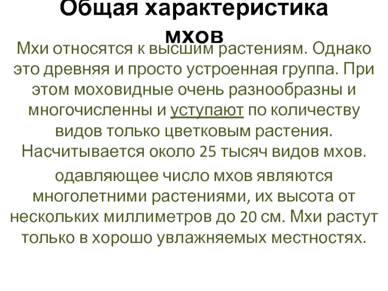 Дайте характеристику моховидных растений. Общая характеристика мхов. Моховидные относятся к высшим растениям так как они.