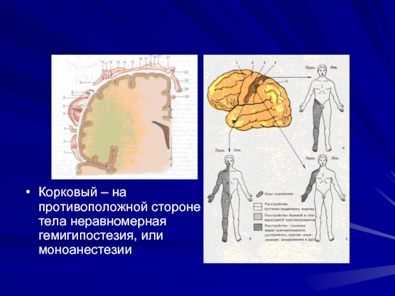 Рисунок стола нейропсихология