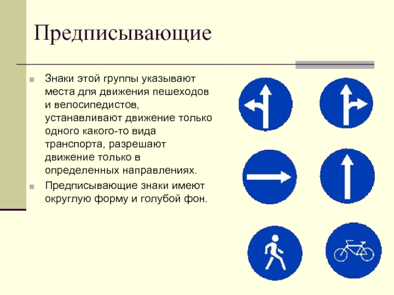 Знаки предписывающие дорожного движения презентация