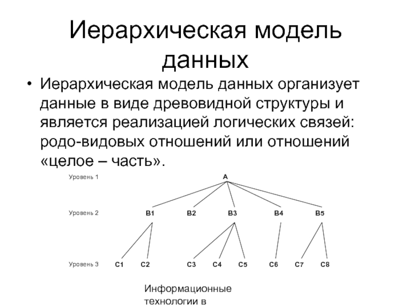 Иерархическая схема размещения составных частей документа