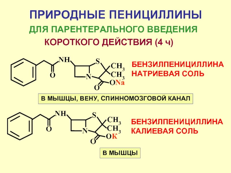 Соли бензилпенициллина. Бензилпенициллина новокаиновая соль формула. Бензилпенициллина натриевая соль формула. Натриевая, калиевая, новокаиновая соли бензилпенициллина. Бензилпенициллина натриевая и калиевая соли.