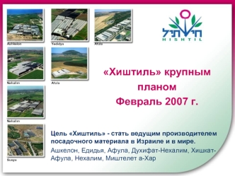 Хиштиль крупным планомФевраль 2007 г.