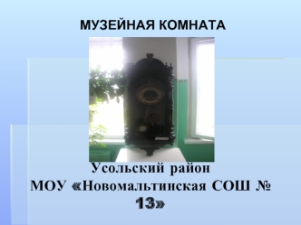 Усольский район МОУ Новомальтинская СОШ № 13