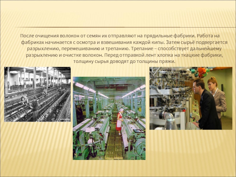 Реферат: Проект хлопко-прядильной фабрики
