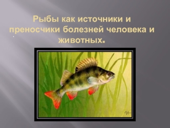Рыбы как источники и преносчики болезней человека и животных.