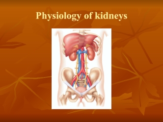 Physiology of kidneys