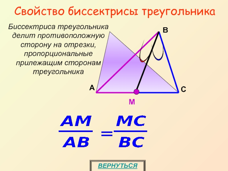 Делит противоположную