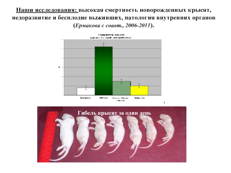 Смертность новорожденных. Риск ГМО для человека. Животные с высокой смертностью. Неонатальная смертность. ГМО вызывает бесплодие.