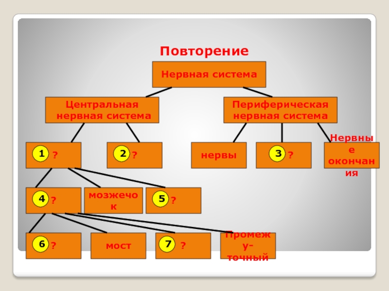 Повторяться нервно