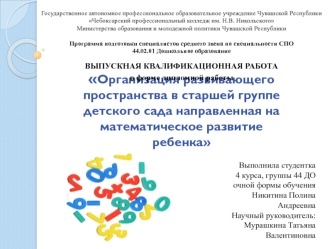 Организация развивающего пространства в старшей группе детского