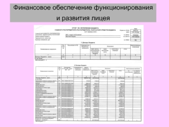 Финансовое обеспечение функционирования и развития лицея