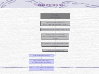 4.1 Права аудиторов рис.1