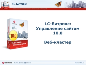 1С-Битрикс:Управление сайтом 10.0Веб-кластер