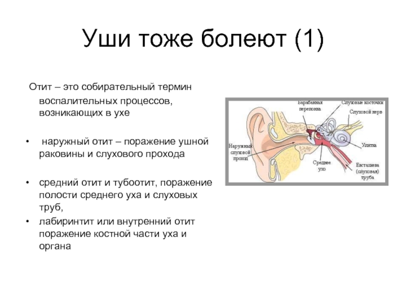 Заложенность уха тубоотит. Среднее ухо термин.