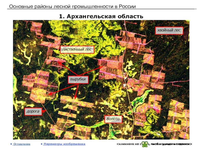 Районы лесной промышленности. Лесные квартала Архангельской области.