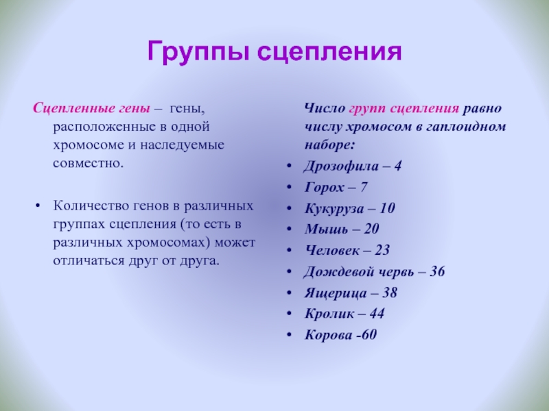 Количество групп сцепления равно. Группы сцепления генов. Число групп сцепления равно гаплоидному набору хромосом. Число групп сцепления. Группы сцепления генов находятся в разных хромосомах.